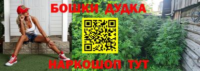 мдма Кингисепп