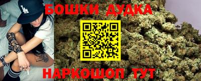 шишки Аргун