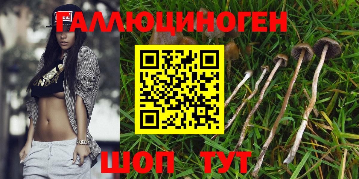Псилоцибиновые грибы Cubensis Нижневартовск